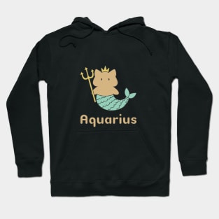 Aquarius Cat Zodiac Sign with Text Hoodie